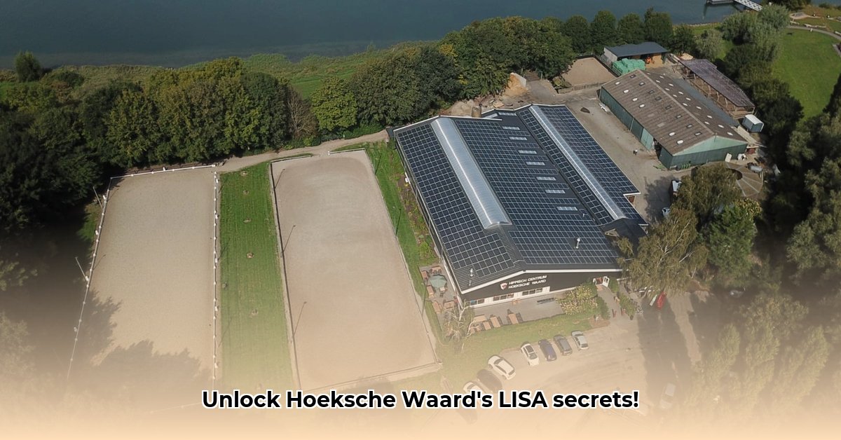 hc-hoeksche-waard
